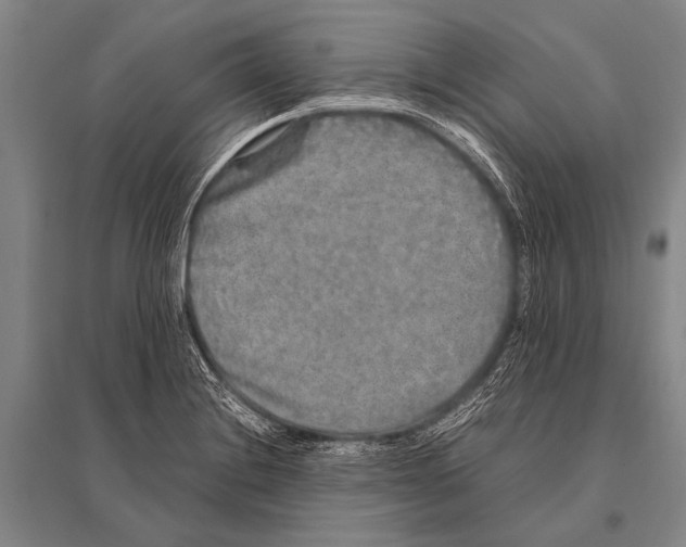 X0000094821228200712141637