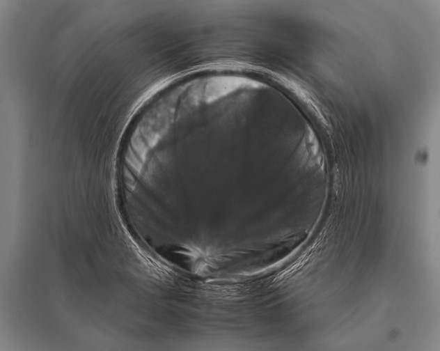 X0000094821229200712141637