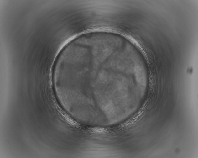 X0000094821230200712141637