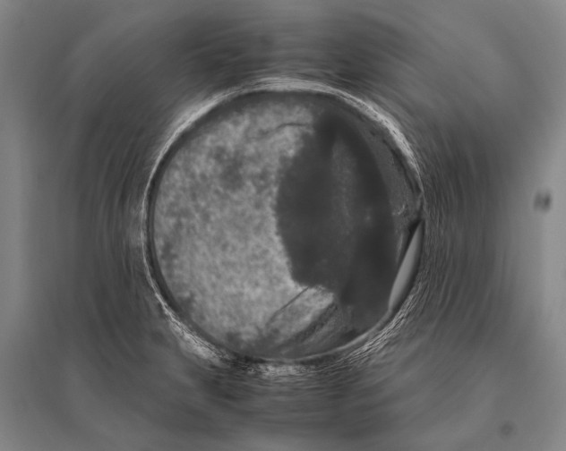 X0000094821231200712141637