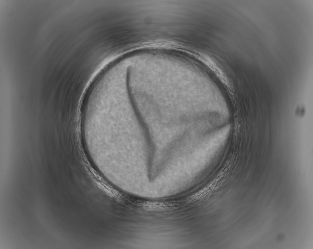 X0000094821232200712141637