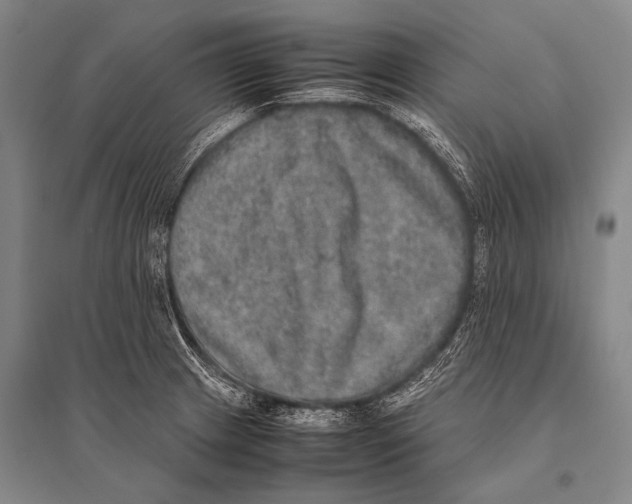 X0000094821233200712141637