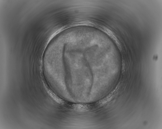 X0000094821234200712141637