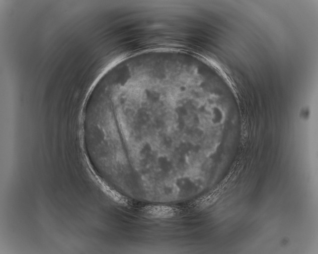 X0000094821235200712141637