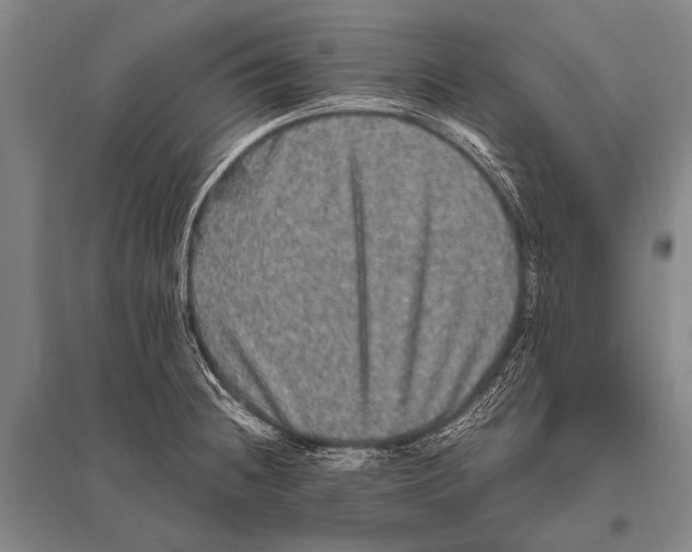 X0000094821236200712141637