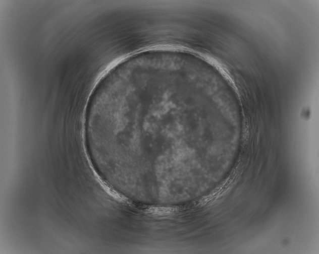 X0000094821237200712141637