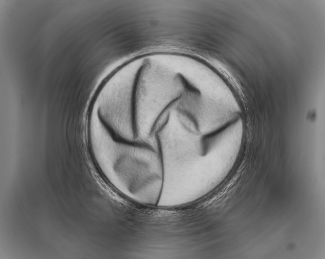 X0000094821238200712141637