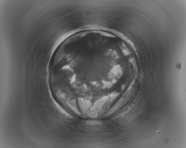 X0000094821239200712141637