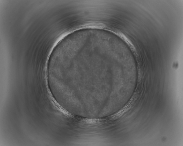 X0000094821240200712141637