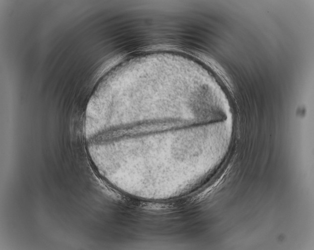 X0000094821241200712141637