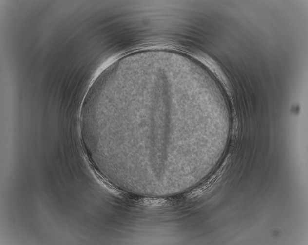 X0000094821242200712141638