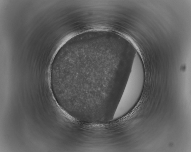 X0000094821243200712141638