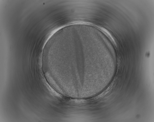 X0000094821244200712141638