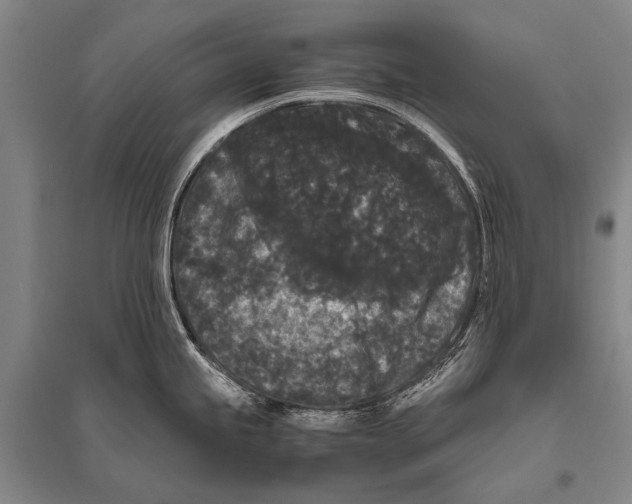 X0000094821245200712141638