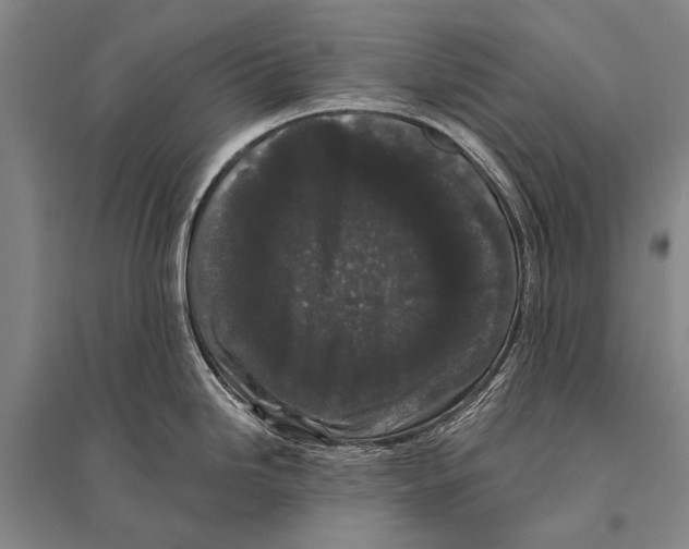 X0000094821246200712141638