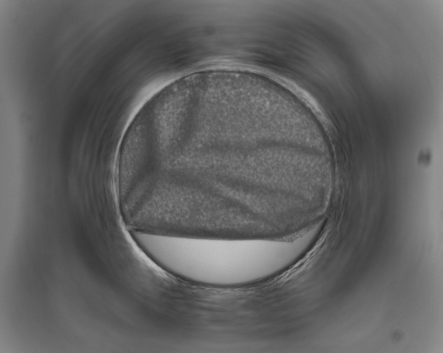 X0000094821247200712141638