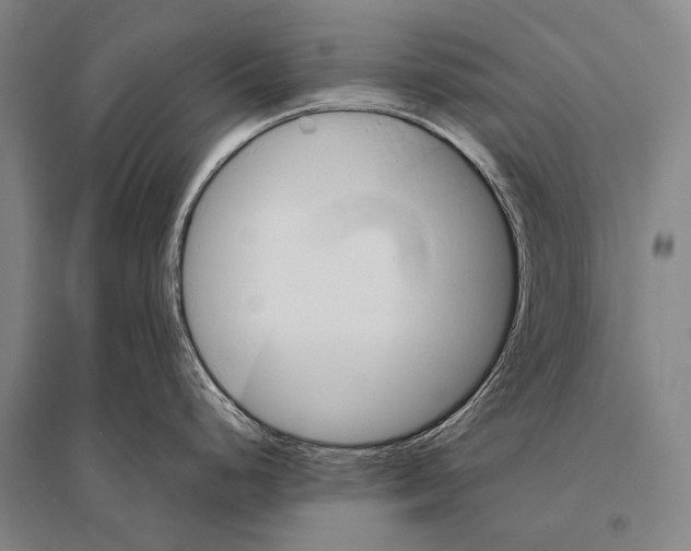 X0000094821248200712141638