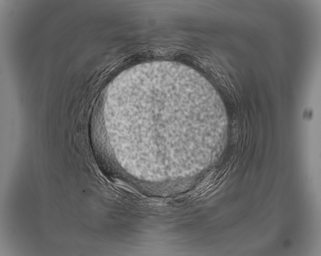 X0000094821249200712141637