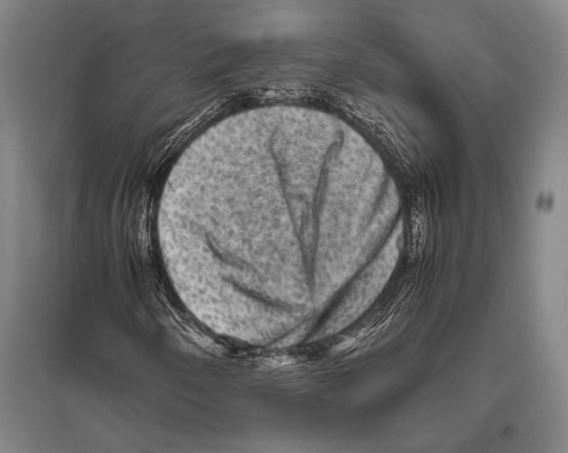 X0000094821250200712141637