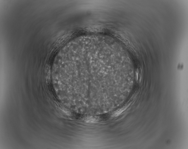 X0000094821251200712141637