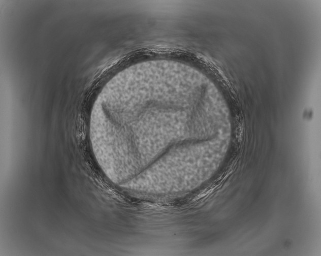 X0000094821253200712141637