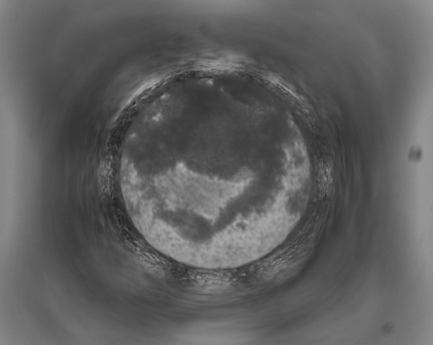 X0000094821254200712141637