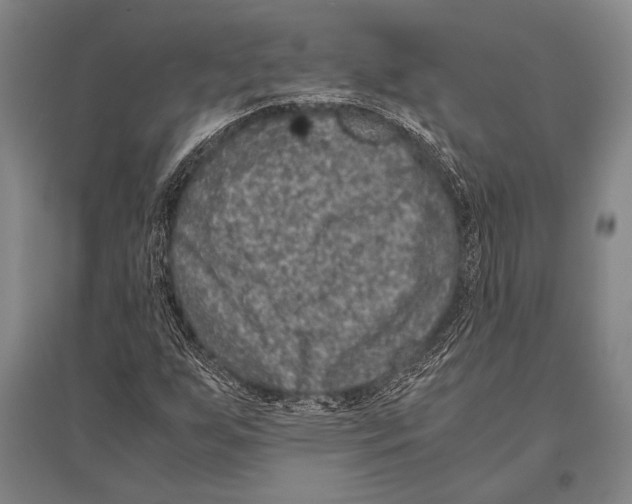 X0000094821255200712141637