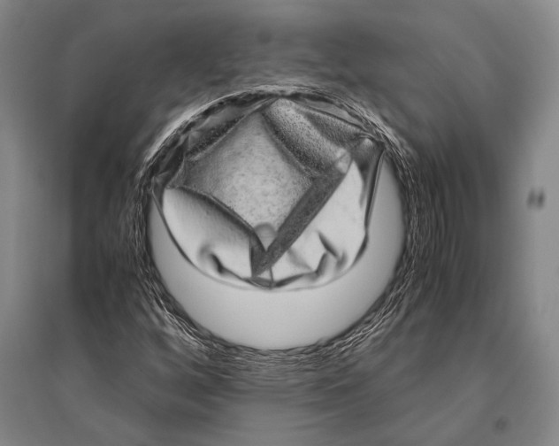 X0000094821256200712141637