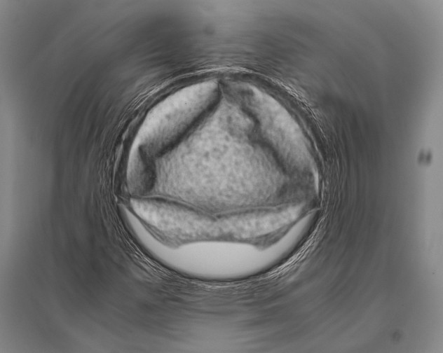 X0000094821257200712141637