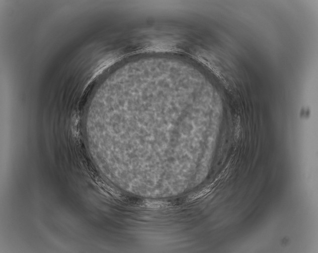 X0000094821258200712141637