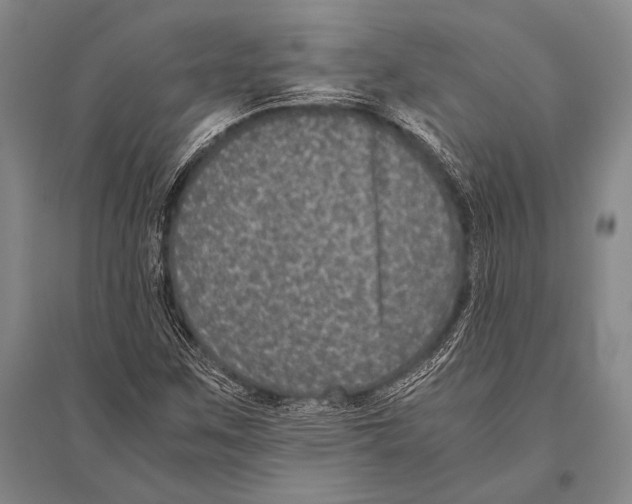 X0000094821259200712141637