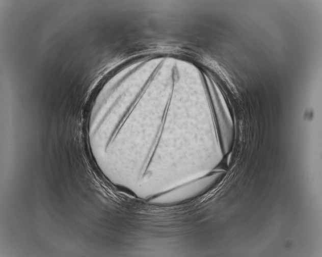 X0000094821260200712141637