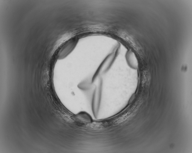 X0000094821261200712141637