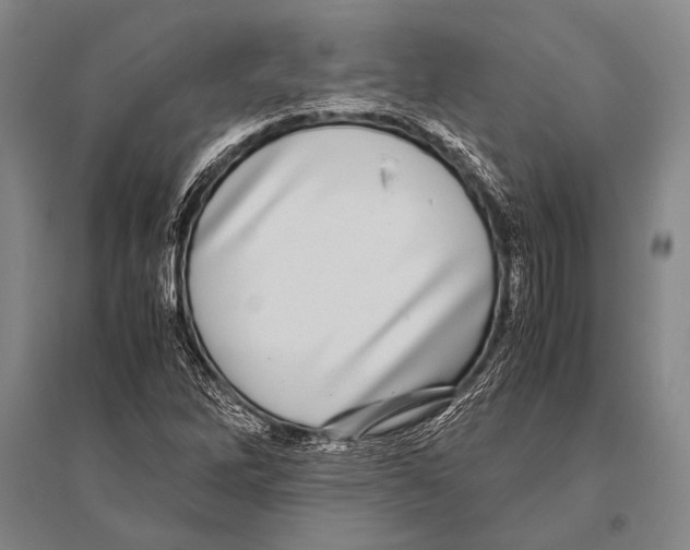 X0000094821262200712141637