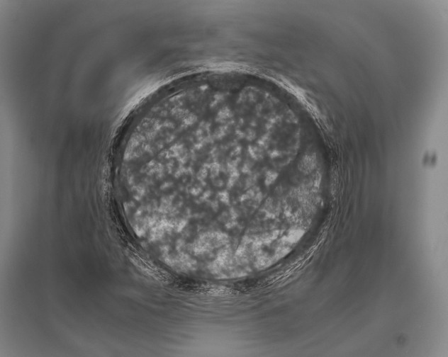 X0000094821263200712141637