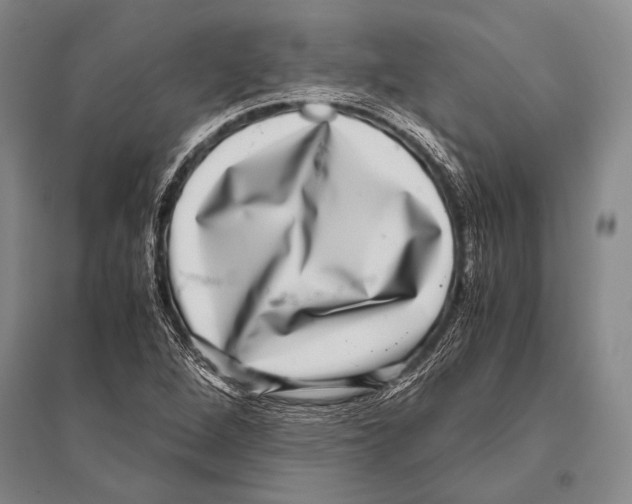 X0000094821264200712141637