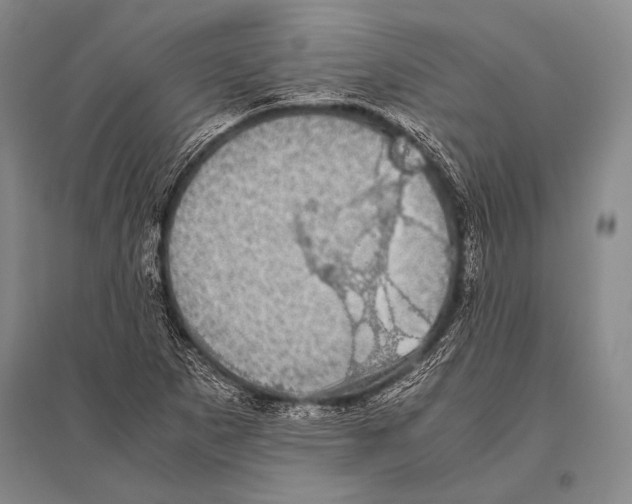 X0000094821265200712141637