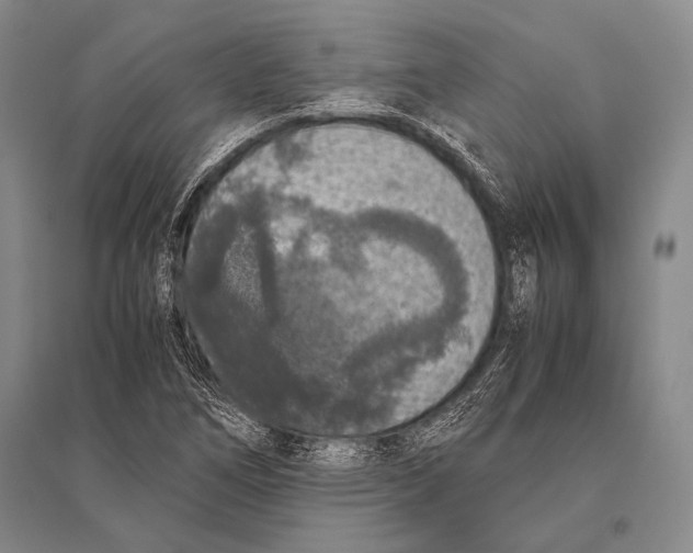 X0000094821266200712141637