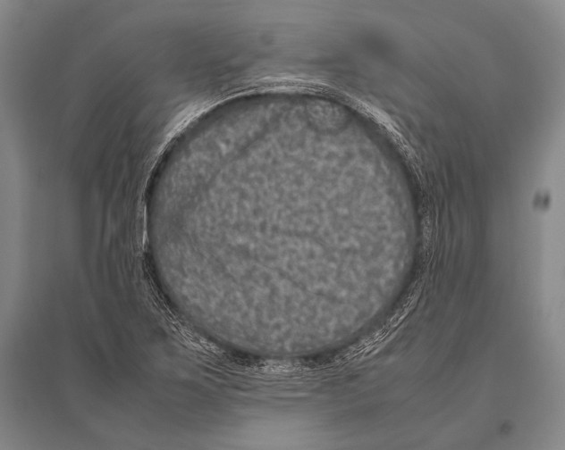 X0000094821267200712141637