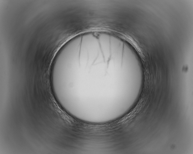 X0000094821268200712141637