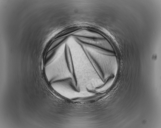 X0000094821269200712141637