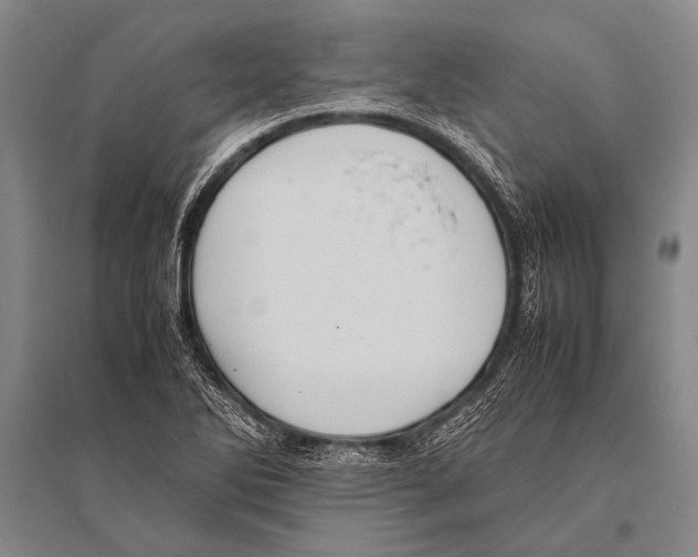 X0000094821270200712141637