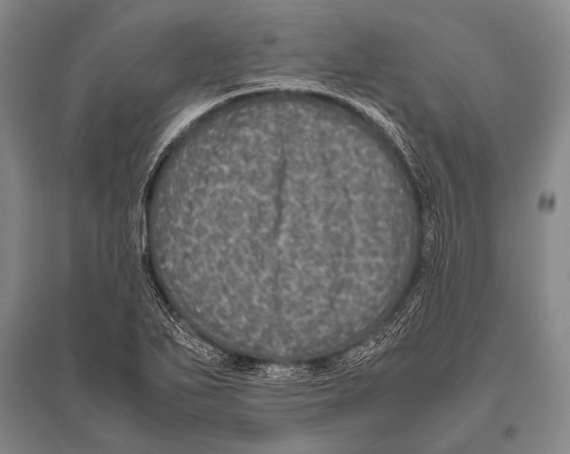 X0000094821271200712141637