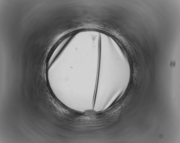 X0000094821272200712141637