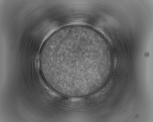 X0000094821274200712141637