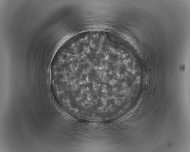 X0000094821275200712141637