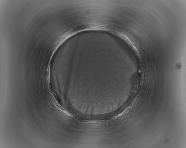 X0000094821276200712141637