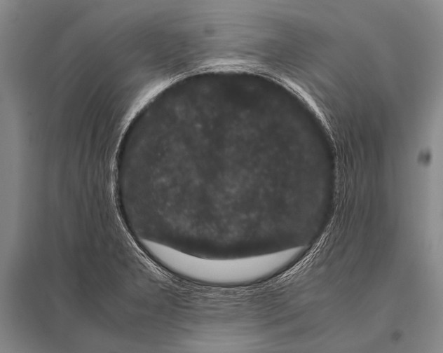 X0000094821277200712141637