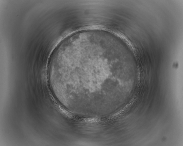 X0000094821278200712141637