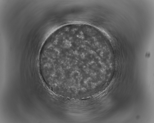 X0000094821279200712141637